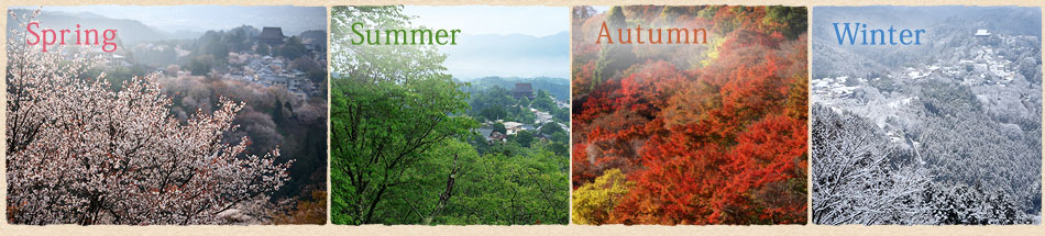 Spring,Summer,Autumn,Winter