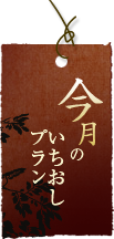 今月のいちおしプラン