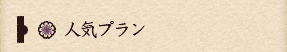 人気プラン