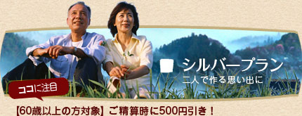 シルバープラン