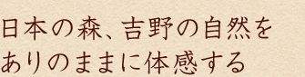 日本の森、吉野の自然をありのままに体感する