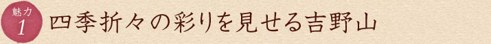 四季折々の彩りを見せる吉野山